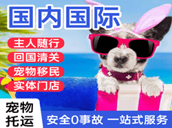 梧州西江机场邮寄国际宠物托运 【国